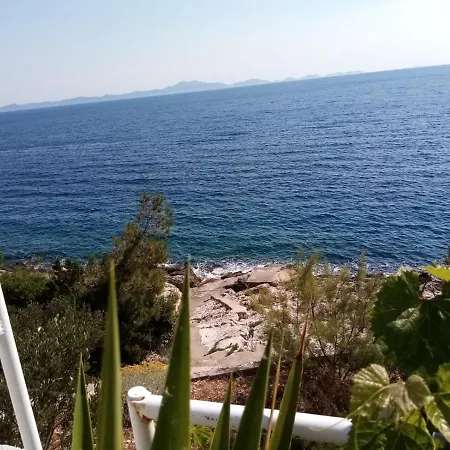 Appartement Laus Zavalatica